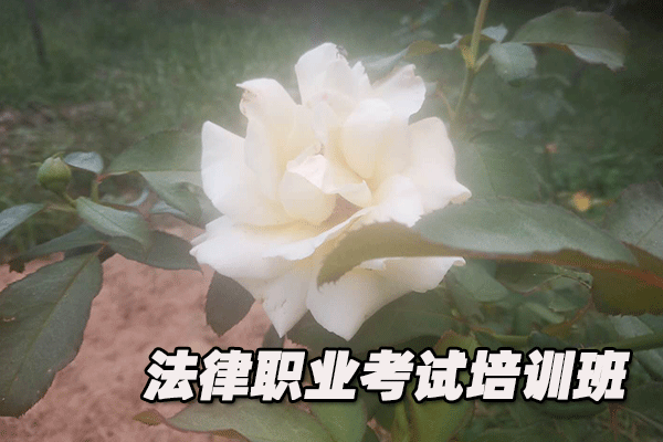 红河法律职业资格证考试培训班