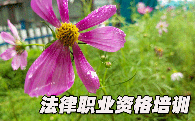 玉溪法律职业资格证考试培训班