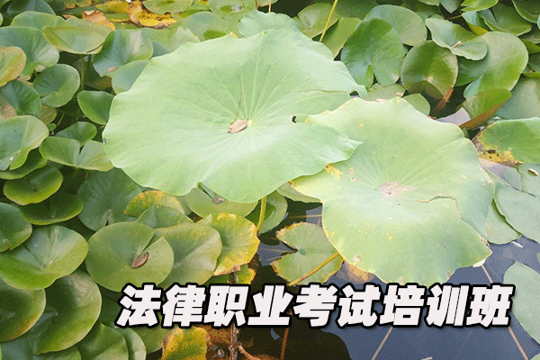 陕西法律职业资格证考试培训班