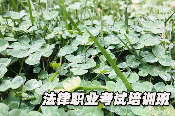 中卫法律职业资格证考试培训班