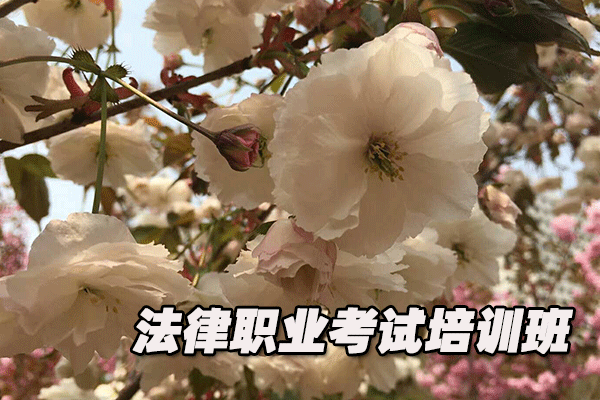 天水法律职业资格证考试培训班