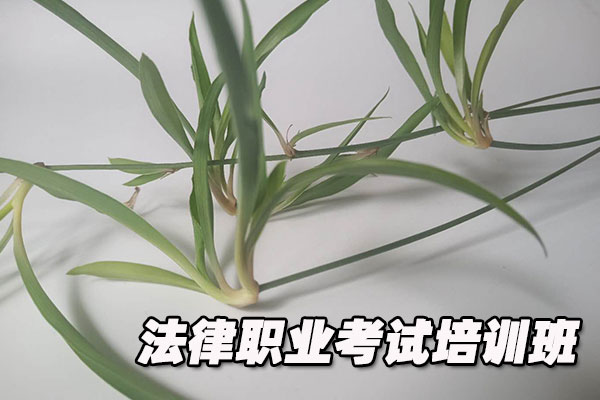 海南法律职业资格证考试培训班   