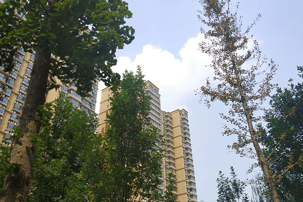 衡水全过程工程咨询师培训班