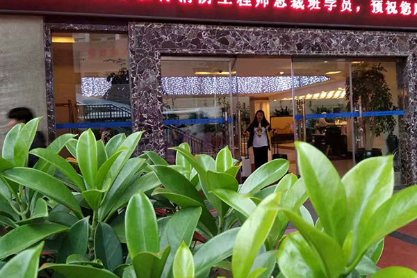 咸宁注册安全工程师培训班哪个好-价格费用多少钱     