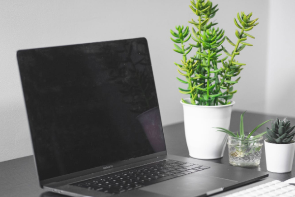 乐山企业合规师培训班_费用多少钱