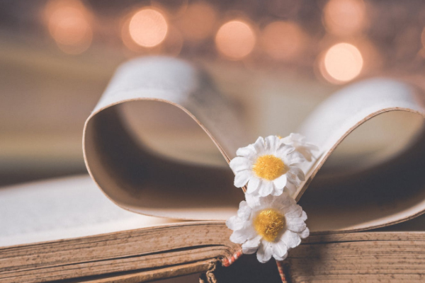  汉中艺术考研辅导培训班_哪个好_学费多少钱