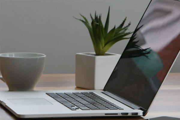 安徽中级经济师报名入口