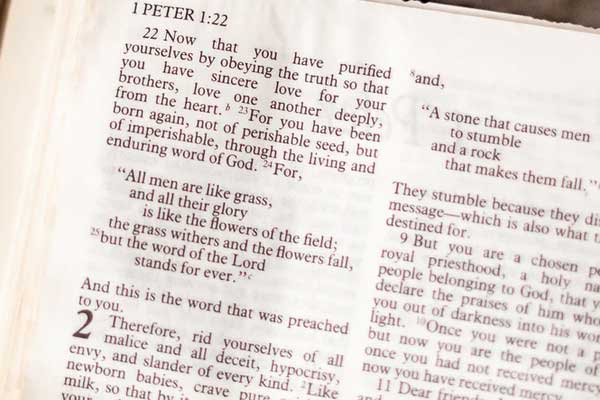 朗阁教育广州分校怎么样