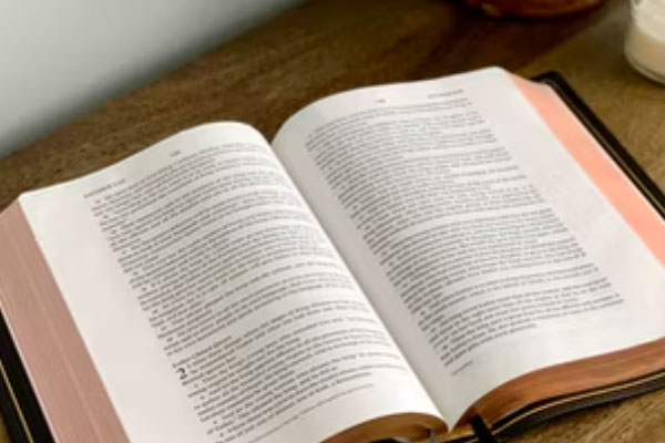 海口朗阁英语好不好