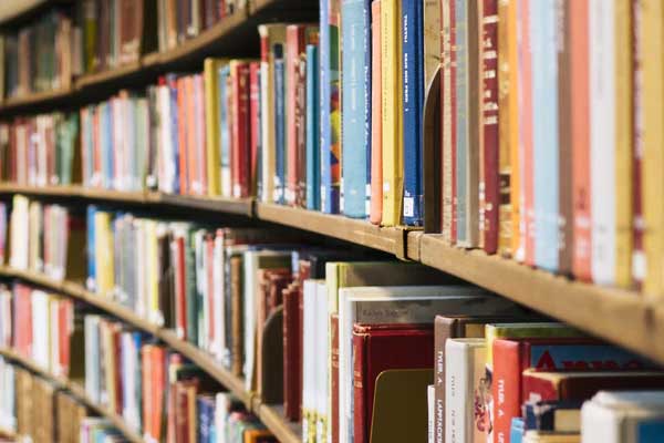 东莞成人高考报名考试时间