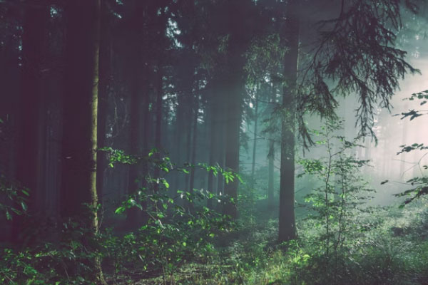 武汉心理咨询师培训班课程费用