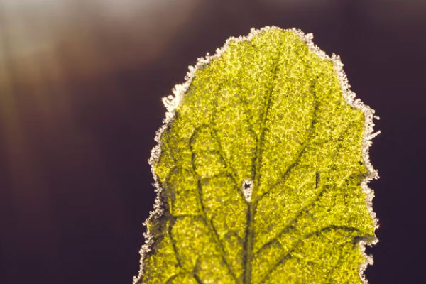 绵阳心理咨询师培训机构价格