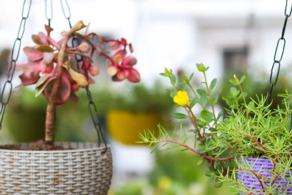 榆林心理咨询师培训机构哪家好