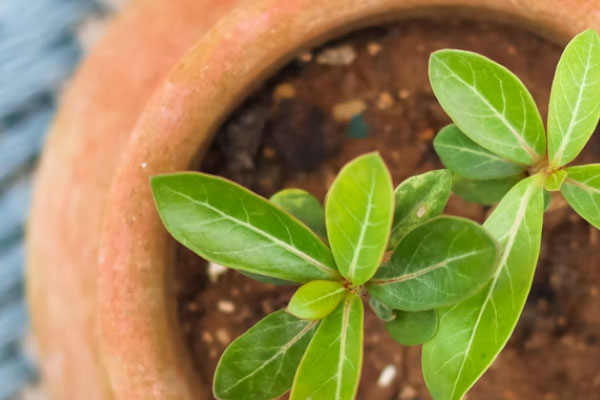 渭南心理咨询师培训学校