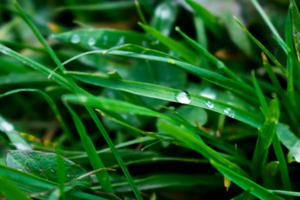 延安心理咨询师培训机构哪家好