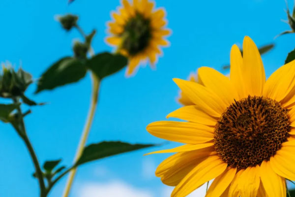 商洛心理咨询师培训费用多少