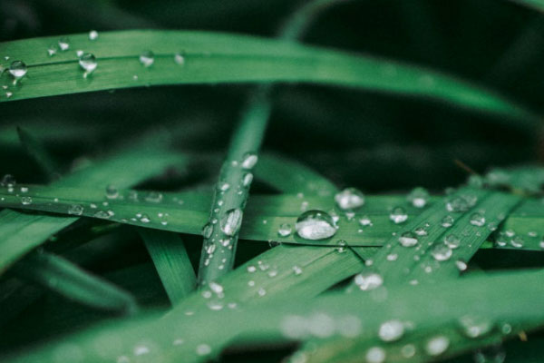 乌鲁木齐心理咨询师培训机构哪家好