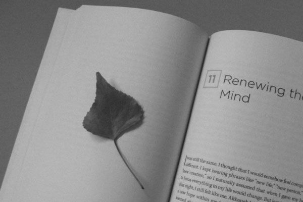 meten美联英语江门店