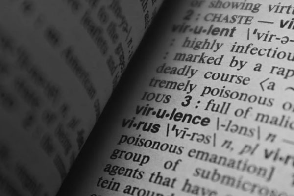 江门meten美联英语有多少家