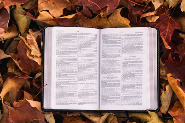 南通雅思预备班学什么