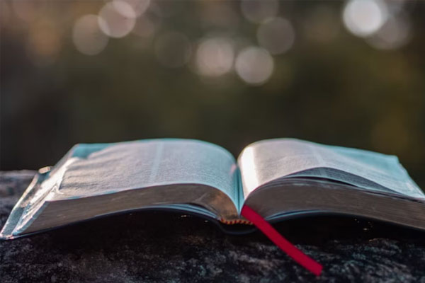 南通雅思预备班好不好