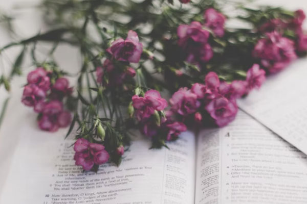 南通雅思留学培训班怎么报名