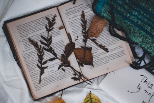 大连雅思强化班和基础班