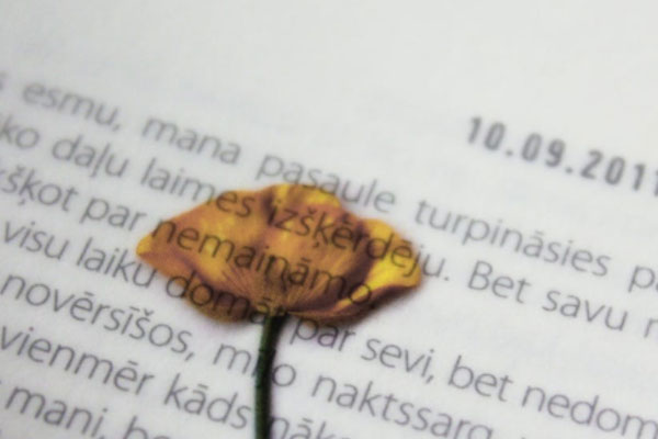 大连雅思强化班学费需要多少钱