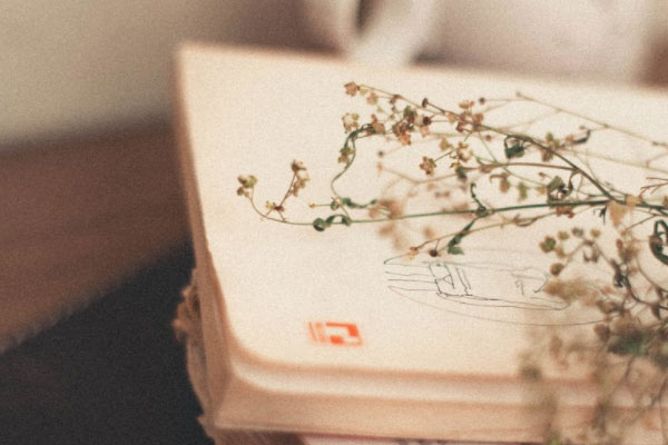 大连雅思强化班怎么样