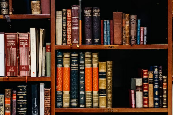 雅思6分是什么水平