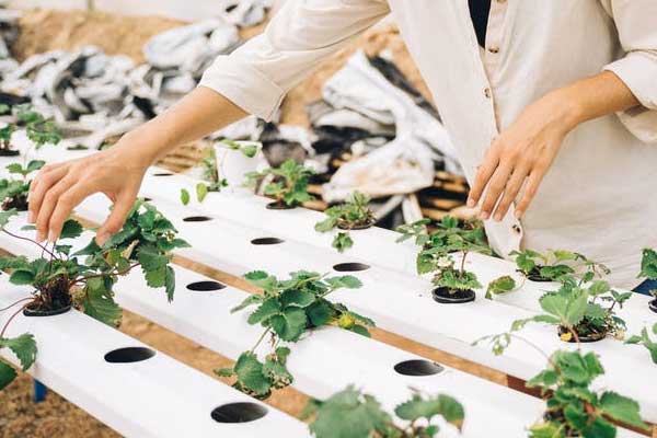 潍坊社工证培训哪家靠谱_学费多少钱