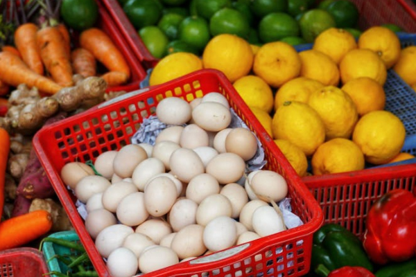 保定健康管理师考试培训课程价格_费用