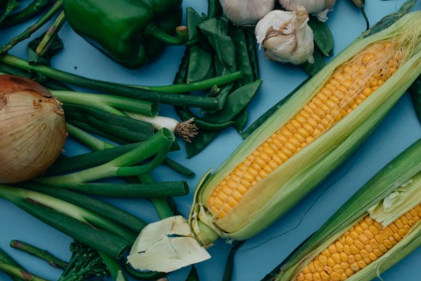 衡水健康管理师考试培训课程价格_费用