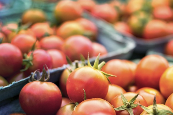 岳阳健康管理师考试培训课程价格_费用