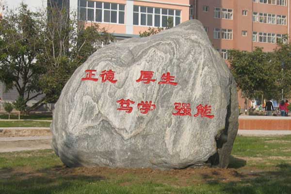 保定虎振都有什么专业