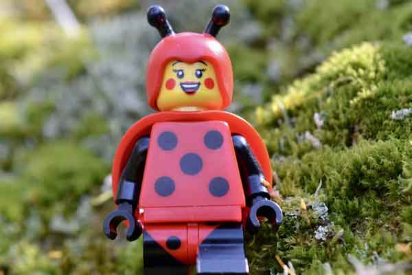 北京西城区小孩学编程去哪里学好？