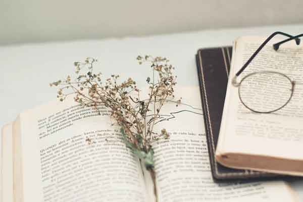 弗吉尼亚理工大学Virginia Polytechnic Institute and State University