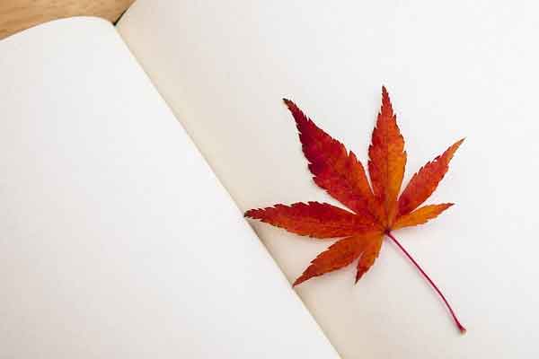 镇江教师招聘考试培训价格