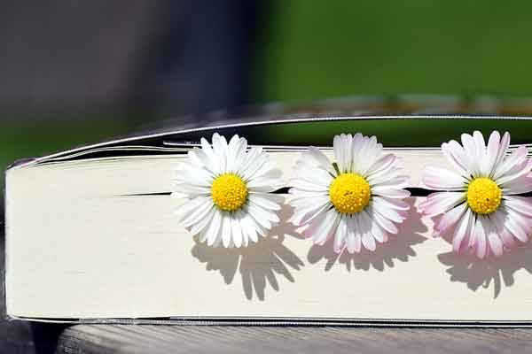 阜阳教师招聘考试培训价格