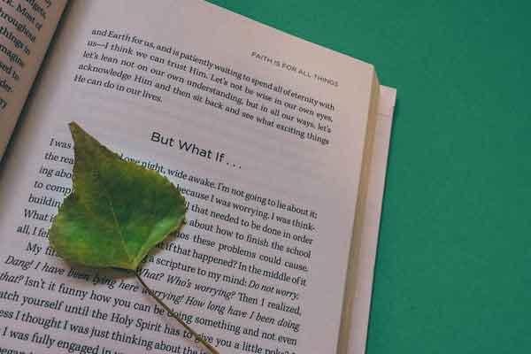 新英华美学院Informatics Education Singapore