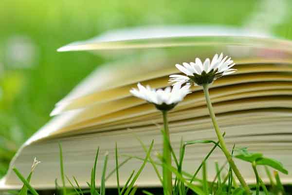  宜宾教师招聘考试培训价格