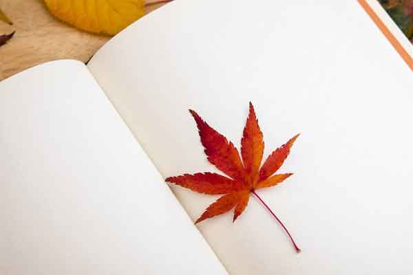 南充教师招聘考试培训价格