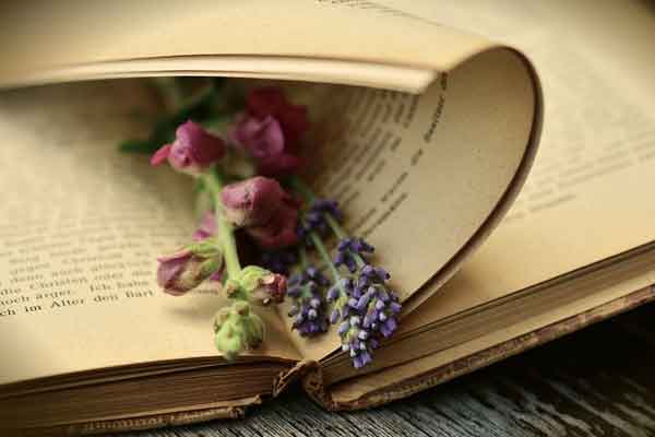 泸州教师招聘考试培训价格