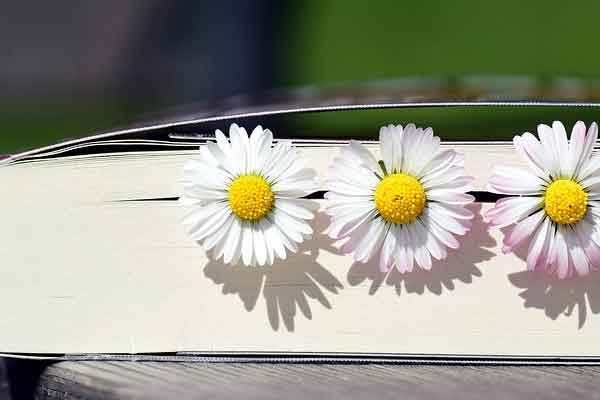 马来西亚博特拉大学Putra University