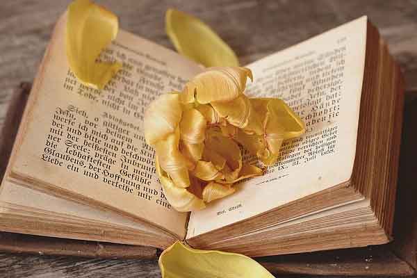 达州教师招聘考试培训价格