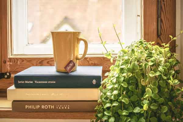 温州留学机构中介费大约多少