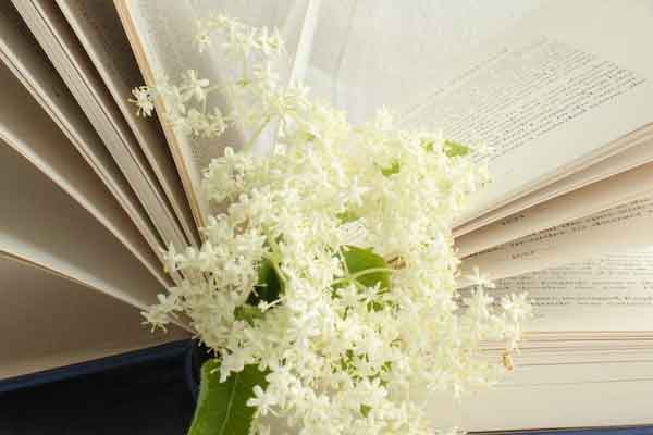 克拉克森大学Clarkson University