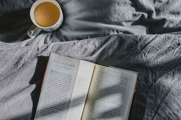 纽约州立大学水牛城分校University at Buffalo, SUNY