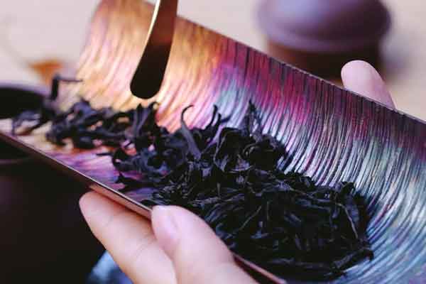 湖北中医师承培训价格多少钱