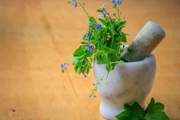 张掖中医师承培训价格多少钱